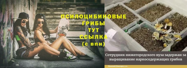 мескалин Пересвет