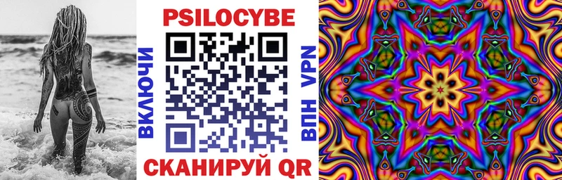 Псилоцибиновые грибы Psilocybine cubensis  Кандалакша 